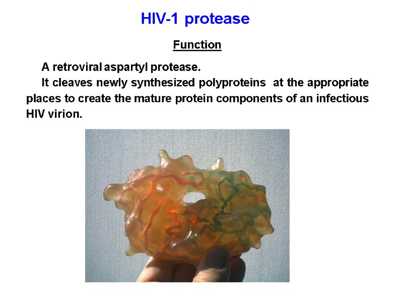 HIV-1 protease  Function A retroviral aspartyl protease.  It cleaves newly synthesized polyproteins